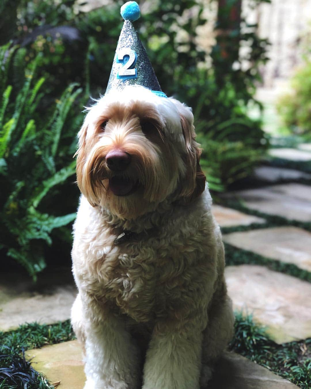 ハル・ベリーさんのインスタグラム写真 - (ハル・ベリーInstagram)「Happy birthday, sweet boy!  #LivingLikeJackson 🎂」3月24日 9時13分 - halleberry