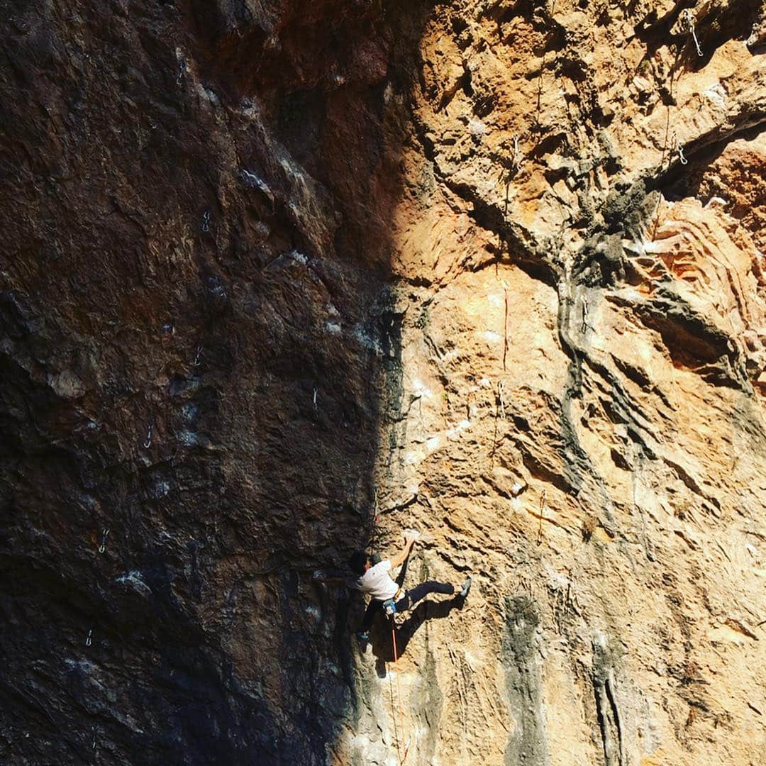 大高伽弥さんのインスタグラム写真 - (大高伽弥Instagram)「“La Fabelita”  8c/14b✅ It is my first 8c🎉🎉🎉 ・ 素晴らしいラインを登ることができました👍 途中何度も落ちかけたけど、最後は”登りたい”って気持ちが岩に届いた気がする…  このトライで自分の殻を破った感覚を大切にしていきたい。  残り少ないツアーだけど、先生たちと共に楽しんできます😆 ・ ・ @tokyopowder @eyecandyworks #緑風堂鍼灸院  #santalinya #spain🇪🇸 #leadclimbing #climbingtrip #scarpa #instinctvsr #mindfulness #2日レストして #待ったかいがあったよ #今が最高」3月24日 9時19分 - kayaowl