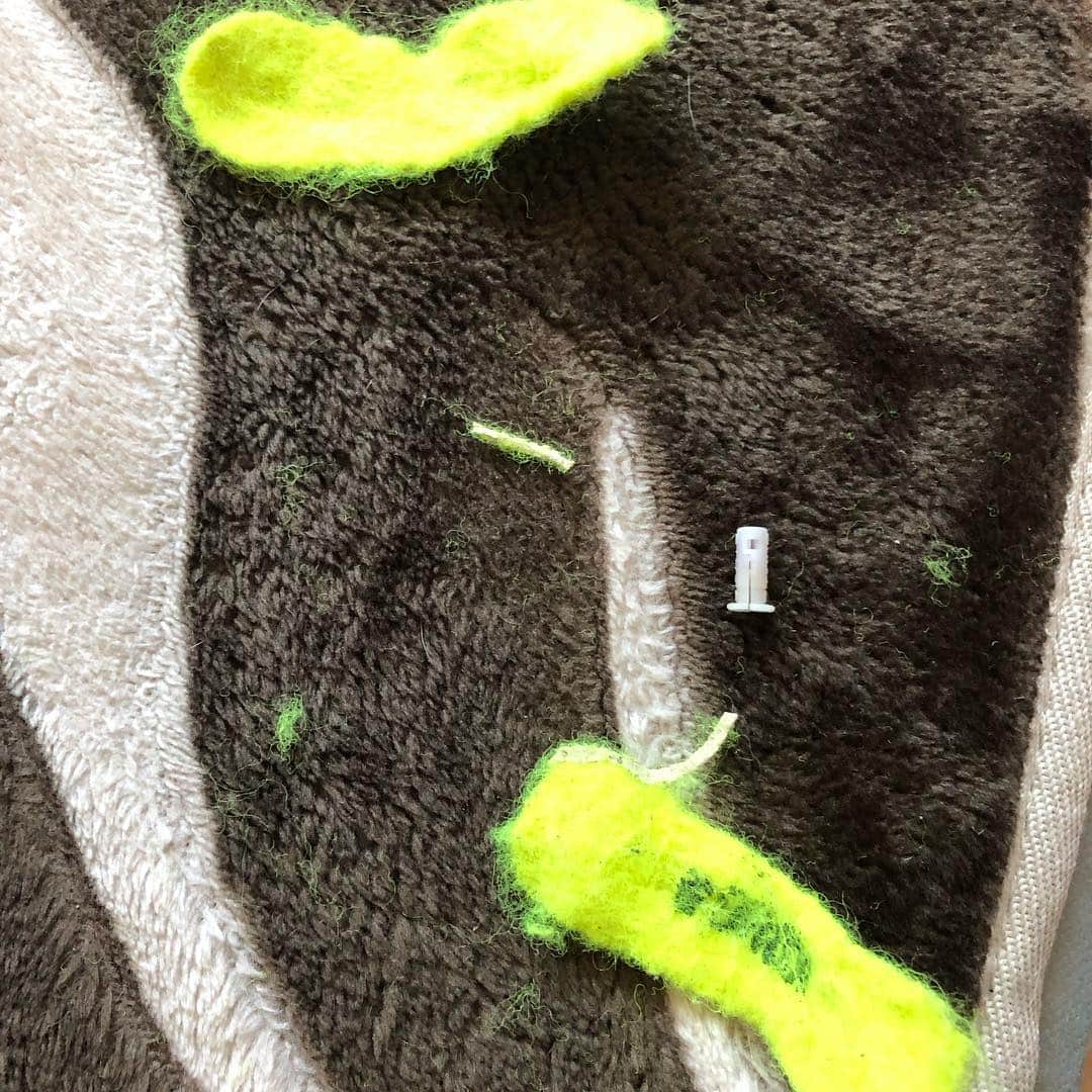 のインスタグラム：「昨日かなこにもらった🥎 見事に壊しました😂 壊してこんな姿になっても離さないーーー🤣 #kinako #mybaby #ボール遊び大好き #黒田愛美」