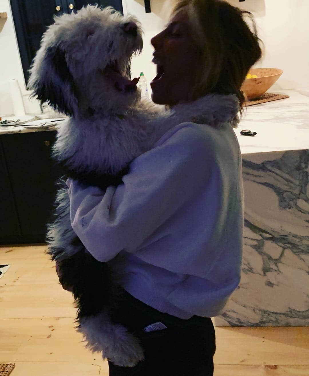 ジェニファー・エスポジートさんのインスタグラム写真 - (ジェニファー・エスポジートInstagram)「Someone  said it’s #nationalpuppyday  Soon he will carry me!  #furchild #sheepadoodle」3月24日 9時50分 - jesposito