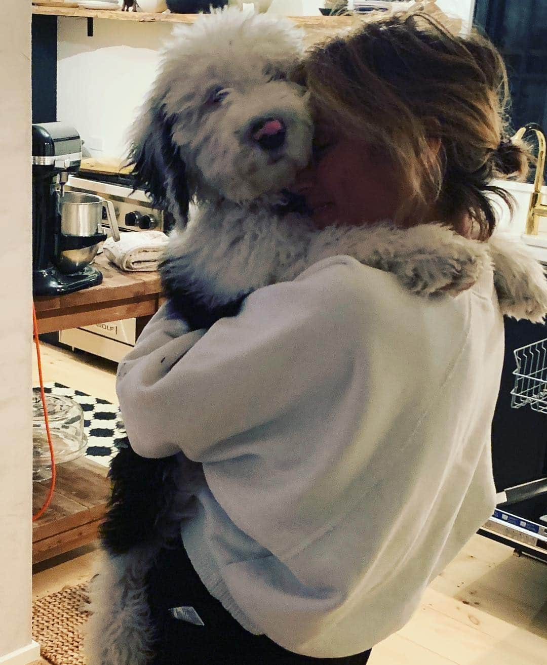 ジェニファー・エスポジートさんのインスタグラム写真 - (ジェニファー・エスポジートInstagram)「Someone  said it’s #nationalpuppyday  Soon he will carry me!  #furchild #sheepadoodle」3月24日 9時50分 - jesposito