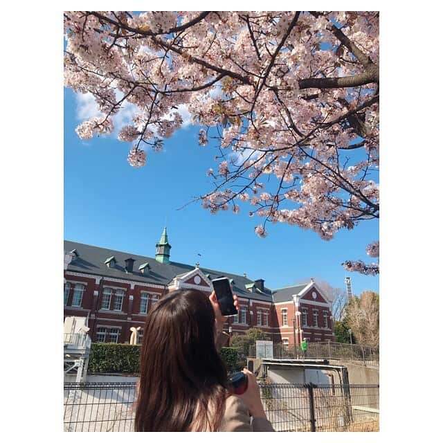 林美沙希さんのインスタグラム写真 - (林美沙希Instagram)「お散歩してきました😊  #桜#散歩#桜田門#千鳥ヶ淵#まだまだこれから#桜の種類によっては咲いてます#いい天気#休日」3月24日 21時00分 - misaki0hayashi