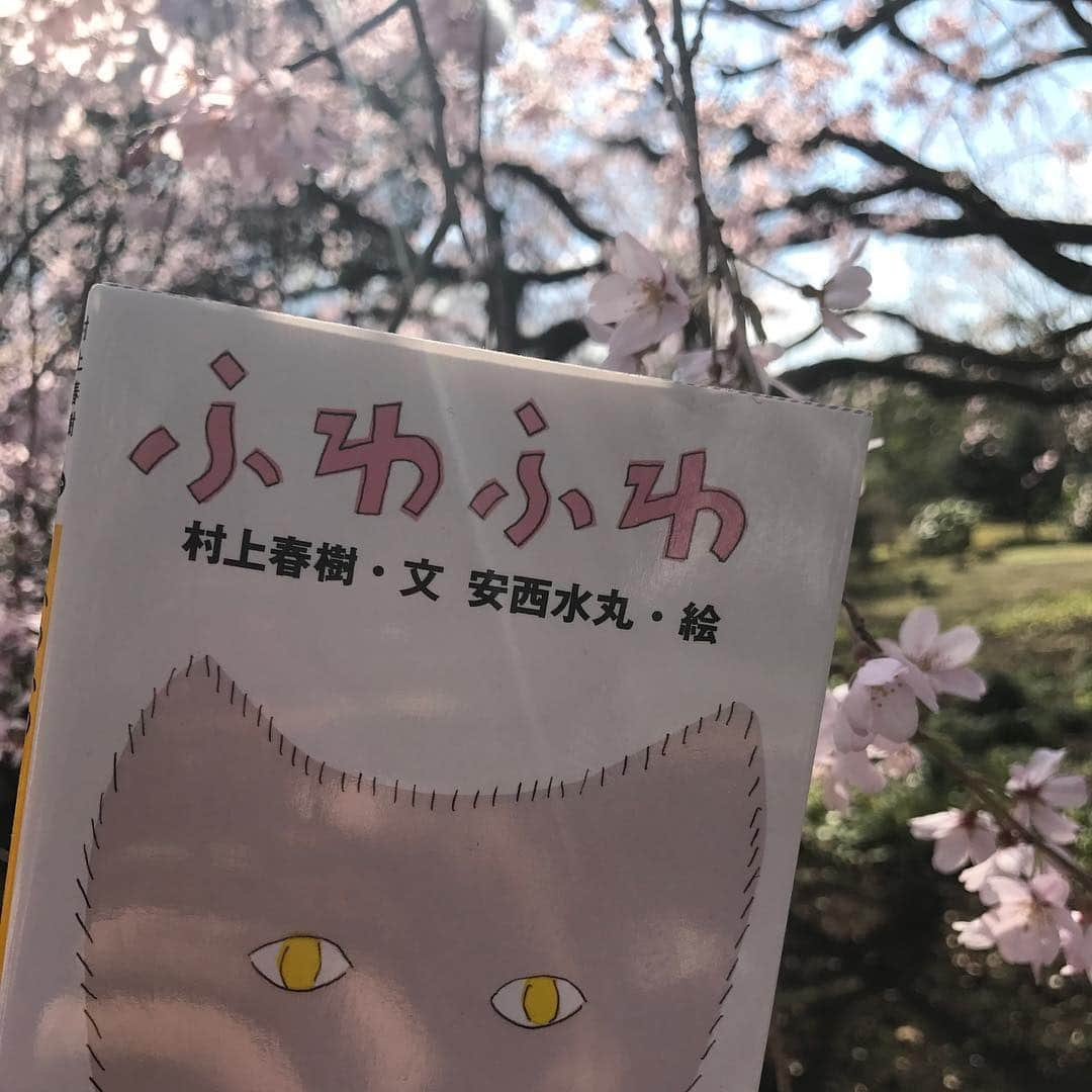 青柳尊哉さんのインスタグラム写真 - (青柳尊哉Instagram)「1日限りの朗読をやります。 村上春樹『ふわふわ』を読むのですが、自分の震えている部分を曝け出してやろうと思います。 多彩なアーティストと作品に向き合うのも、それだけで完成された本や言葉を自分を使って表現するのも、凄いプレッシャーと刺激が入り混じって結果ワクワクしています。 新しいチャレンジは首を傾げられる事も多いけど、信頼した仲間とモノを作る時間は最高に楽しいなと思うんです。 だって、『この本で本気で遊びませんか？』って、これほど幸せな誘い文句はない。 音楽と朗読の真ん中にネコを感じながら見えない触覚が空間で絡まり合えば最高です。 ご来場お待ちしています！」3月24日 19時36分 - takaya_aoyagi