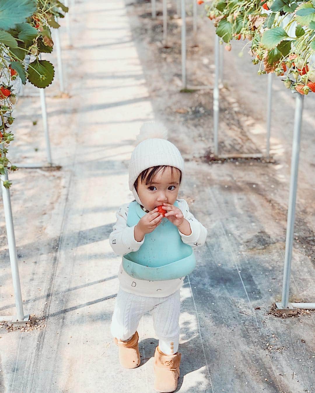 孫きょうのグルメインスタ