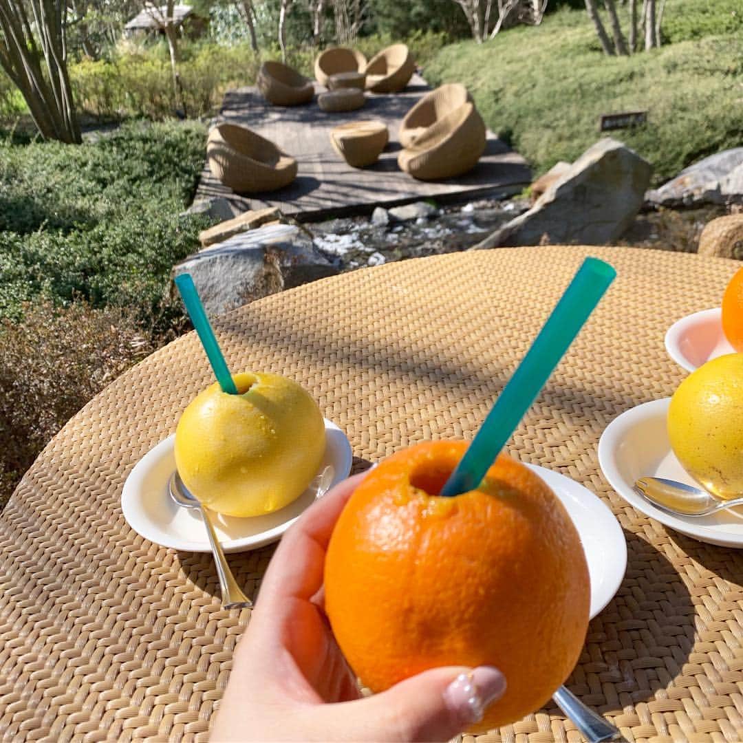 SPARAのグルメインスタ