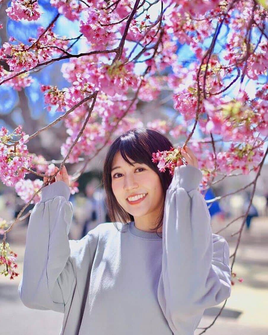 坪井安奈さんのインスタグラム写真 - (坪井安奈Instagram)「#新宿御苑 に行ったよ🌸 一部、#満開 の桜もありました。 この桜は、種類わからないけど、#ソメイヨシノ よりもピンクがちょっと濃いね✨これはこれで可愛い💕#青空 とのコントラストも👍でした^ ^ photo by @mori2hk . Sakura season has come!! There are many kinds of sakura trees. This sakura is more pink color than basical someiyoshino☺️ . #sakura #桜 #桜🌸  #spring #春 #春コーデ #お花見 #花見 #お花見🌸 #お花見コーデ #hanami #ohanami #東京観光 #tokyo #tokyolife」3月24日 20時07分 - tsuboianna