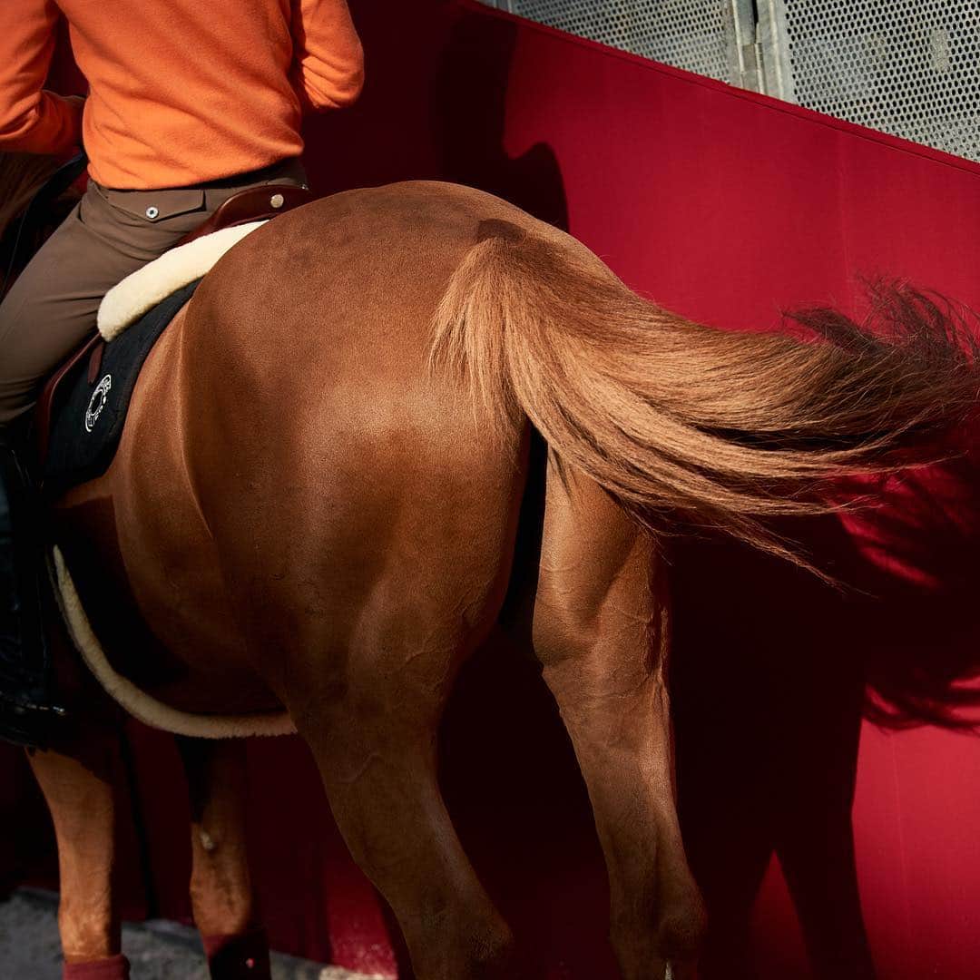 エルメスさんのインスタグラム写真 - (エルメスInstagram)「Just horsing around... #SautHermes」3月24日 20時08分 - hermes