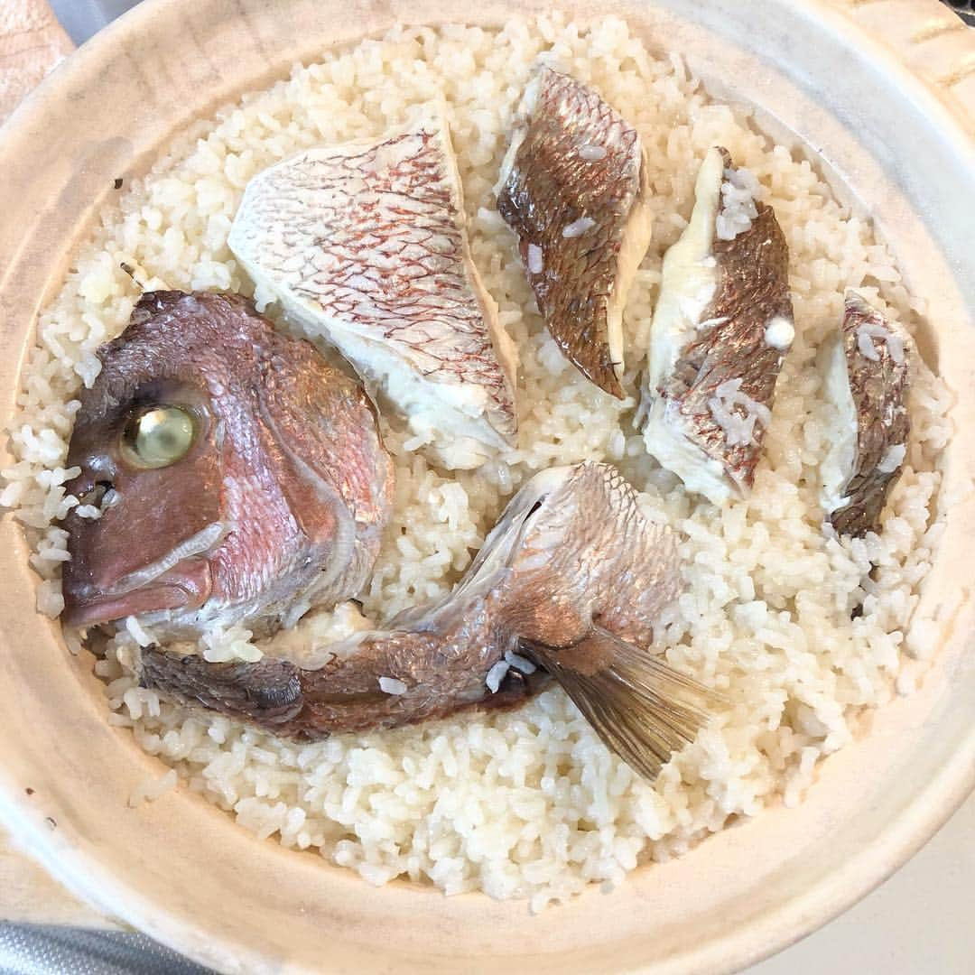 今井美穂さんのインスタグラム写真 - (今井美穂Instagram)「最近の夕食たち😋🍚﻿ お義母さんが八百屋さんでお買い得なお野菜沢山買ってきてくれたので、いつもより野菜多目のメニューにしてみました🥬﻿ ﻿ バランスの良い食事のおかげが母乳の出がすごい😂笑﻿ でもお肉料理の方が作りやすくてついついお魚不足に💦﻿ 気をつけねば！﻿ 頭の良い子になれば良いなとDHAのサプリも飲んでます✌️﻿ ﻿ #ブログ更新しました﻿ #インスタトップのリンクから﻿ #今井美穂オフィシャルブログ﻿ #Amebaブログ﻿ #新米母﻿ #育児日記﻿ #我が家のごはん﻿ #ヘルシーレシピ﻿」3月24日 20時19分 - imaimiho1209