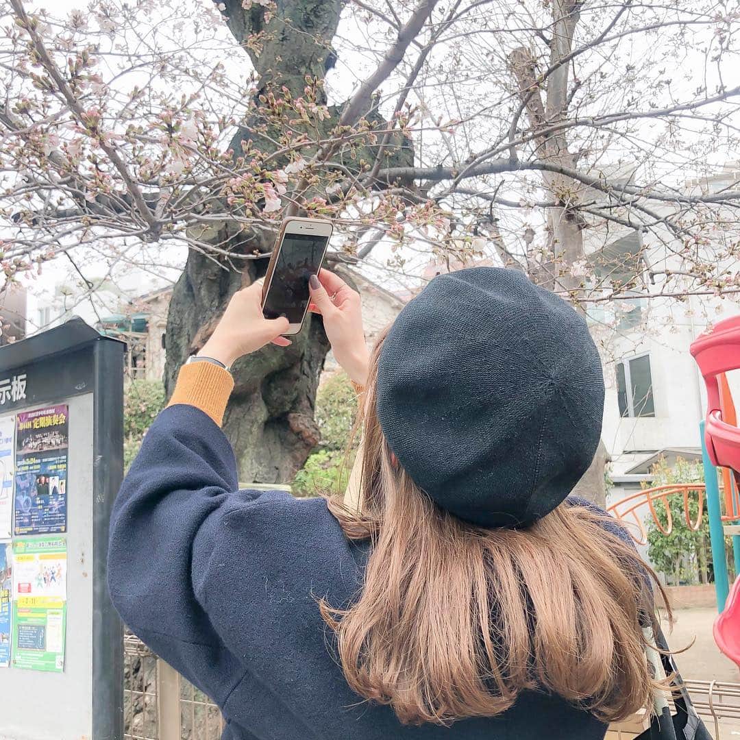 のインスタグラム：「ㅤㅤㅤㅤㅤㅤㅤㅤㅤㅤㅤㅤㅤ ㅤㅤㅤㅤㅤㅤㅤㅤㅤㅤㅤㅤㅤ 昨日、原宿は少し桜が咲いてた。 去年の今日は上野で満開の桜を 見ていたらしい…！ 去年そんな暖かかったっけ （4〜6枚目は去年の写真） ㅤㅤㅤㅤㅤㅤㅤㅤㅤㅤㅤㅤㅤ さくらソングってたくさんあるけど みんな一番に思い出すのは何？🌸 ㅤㅤㅤㅤㅤㅤㅤㅤㅤㅤㅤㅤㅤ #桜」