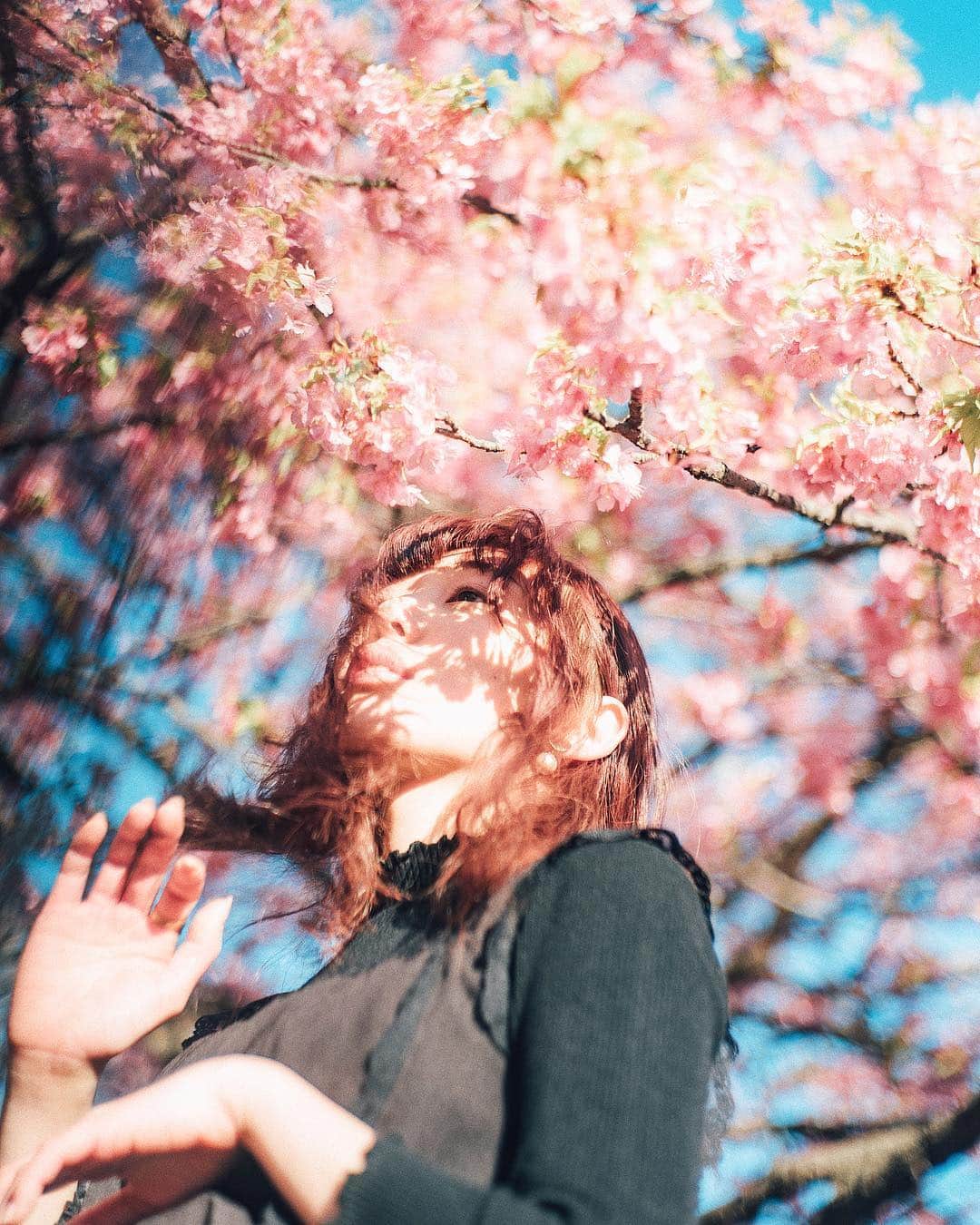 haru wagnusさんのインスタグラム写真 - (haru wagnusInstagram)「All of she wants all of you  ㅤㅤㅤㅤㅤㅤㅤㅤㅤㅤㅤㅤㅤ ㅤㅤㅤㅤㅤㅤㅤㅤㅤㅤㅤㅤㅤ ㅤㅤㅤㅤㅤㅤㅤㅤㅤㅤㅤㅤㅤ #wagnus_color_preset  #sakura #LeicaM10P」3月24日 20時13分 - wagnus
