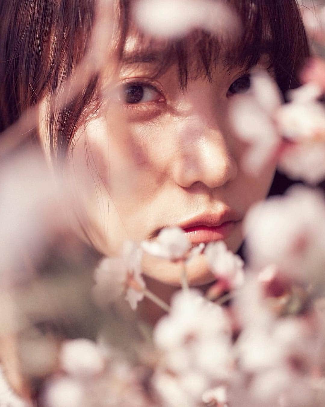 永尾まりやさんのインスタグラム写真 - (永尾まりやInstagram)「#桜 #2018 #cherryblossom #以上になります」3月24日 20時14分 - mariyagi_san