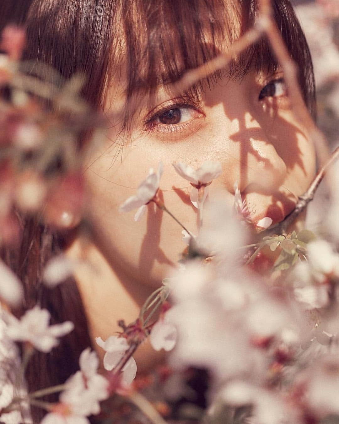 永尾まりやさんのインスタグラム写真 - (永尾まりやInstagram)「#桜 #2018 #cherryblossom #以上になります」3月24日 20時14分 - mariyagi_san