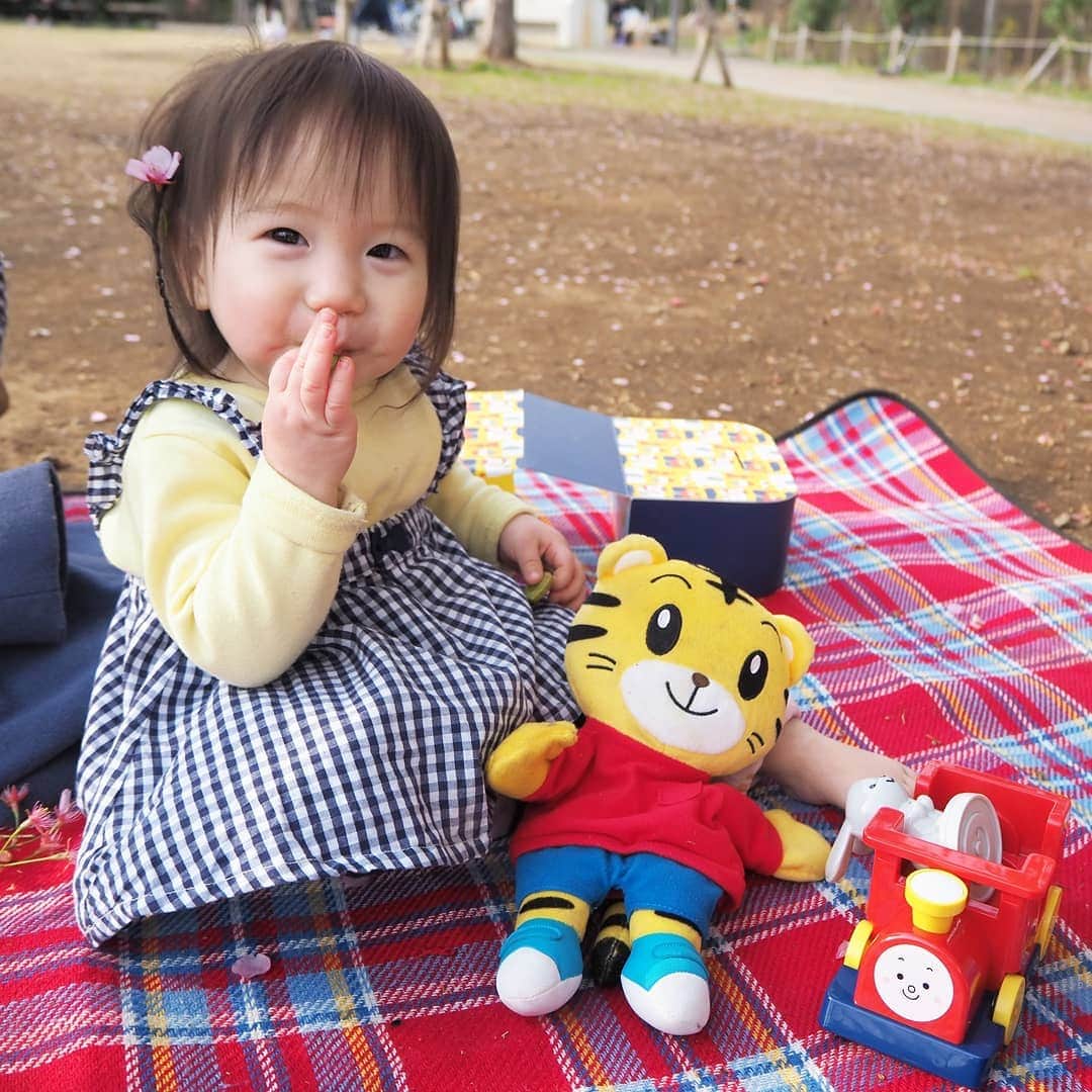 のインスタグラム：「しまじろう大好きな娘たち。 先日も映画やフェスで楽しんできたばかりです。  長女はこどもちゃれんじの教材「ひらがななぞりん」のおかげで、手紙を書くことが好きになっただけでなく 絵本もスラスラ読めるようになり、次女に毎晩絵本を読んであげられるほどに。  そんな「こどもちゃれんじ（@kodomochallenge）」の教材が 2020年度の教育改革を見据えてリニューアル！ ということで、ひと足お先に教材をお試しさせていただきました。 「こどもちゃれんじ」のすべての講座で「考える力プログラム」を新設されるんだそう。  絵本や、DVD、エデュトイなどにも本当にはまりますし 発達や興味に合わせて教材を選べたりするのも魅力的。  思った以上に高機能だったり、たくさん遊んでくれるので 自分で知育玩具や教材を揃えることを考えると低価格だしやめられないんです。  ちなみに今なら4月8日までに入会すると入会特典がつくみたい。 実際に長女がちゃれんじの会員なのでご紹介も可能です☆  #女の子ママ #親バカ部 #赤ちゃんのいる生活 #4月開講号 #しまじろう #こどもちゃれんじ #ひらがななぞりん #すてっぷ #ぷち」