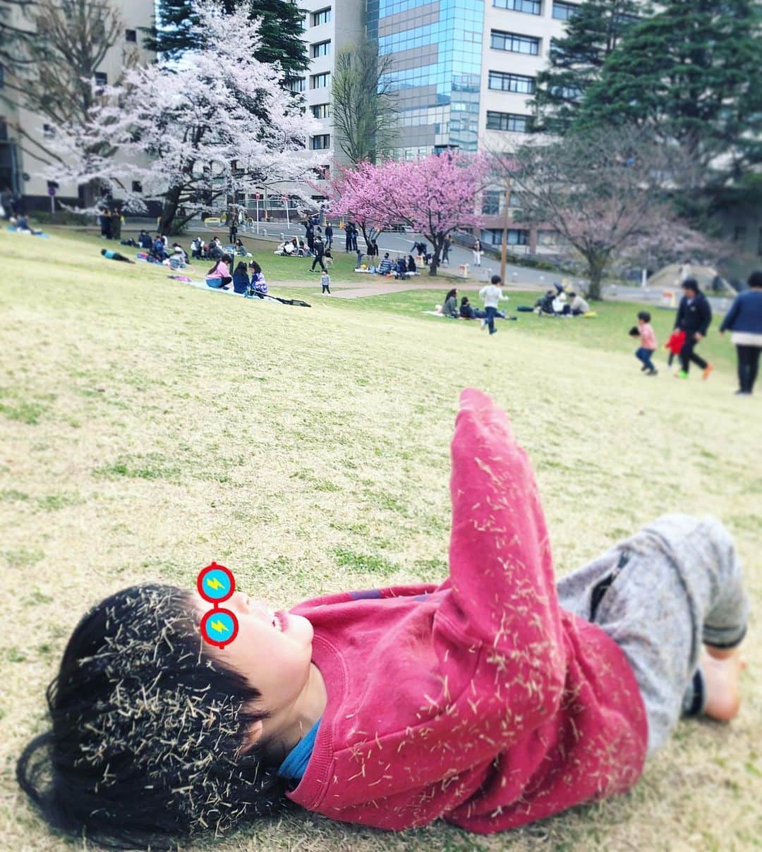 三倉佳奈さんのインスタグラム写真 - (三倉佳奈Instagram)「芝生コロコロ転がって草まみれ。笑  #息子2歳流 #お花見の楽しみ方  #こどもとおでかけ #🌸」3月24日 20時31分 - kana_mikura0223