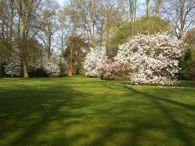 ドリス・ヴァン・ノッテンさんのインスタグラム写真 - (ドリス・ヴァン・ノッテンInstagram)「Happy Sunday! The magnolias in full bloom #driesvannoten #dvn #springisintheair #magnolia #garden」3月24日 20時42分 - driesvannoten