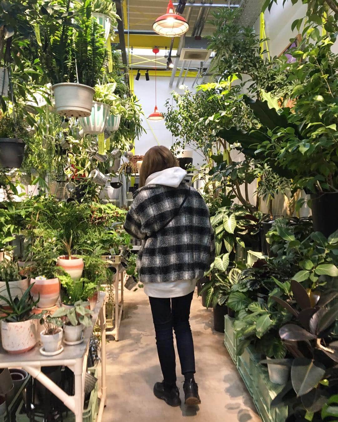 のインスタグラム：「おはよう🌞🌿」