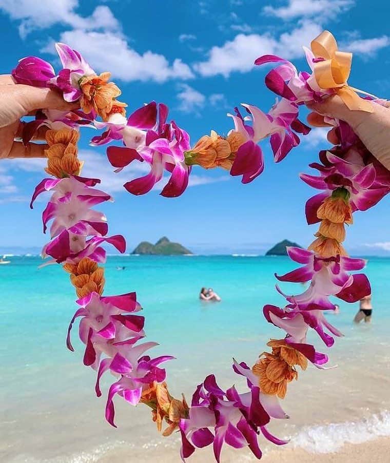 のインスタグラム：「こんにちは😀 タビジョの新たなコミュニティ誕生✨ 「Alohaタビジョ」メンバー募集スタートです💕 ＊＊＊＊＊＊ photo by @happy_misae さん ＊＊＊＊＊＊ 【Alohaタビジョ コミュニティって！？】 旅する女子「タビジョ」コミュニティの「旅先の新たな魅力を発見し、シェアすること」に共鳴いただき アロハ（ALOHA）に込められた意味合いを理解する ハワイ好き女子が集まるコミュニティ👭 「Aloha」 Akahai=思いやり Lokahi＝調和 Olu’olu＝喜び Ha’a Ha’a＝謙虚・素直な心 Ahonui＝忍耐 「思いやりと素直な心をもって他者に感謝し、慈悲と愛情を与え、幸福を分かち合う」 ＊＊＊＊＊＊ ［メンバーミッション] ・コミュニティコンセプトを理解いただく ・コミュニティ主催のイベントなどに積極的に参加する ・コミュニティ主催のイベントやご自身のハワイ旅行時などに、「#アロハタビジョ」をつけて積極的に投稿する ・ハワイに関して自主的に情報収集や学ぶ機会を持つ ・参考になったハワイ情報などをコミュニティメンバーに共有していく ・得た知見を生かし、コミュニティイベントなどで講師役ともなる ＊＊＊＊＊＊ 運営に携わるH.I.S.スタッフは、みなさんのハワイ旅行が「より便利に！より快適に！」なるように、メンバーの方々の声に耳を傾け、サポートさせて頂く予定です。 ＊＊＊＊＊＊ 【Alohaタビジョ 第1回目のイベント参加者募集🎉】 コミュニティの発足に伴い、記念すべき1回目のイベントを横浜・大さん橋で開催される 「LOVE HAWAII Collection 2019 in 横浜」の H.I.S.ステージにて「2019/4/21(日)16:10～16:50」に行います❗️ 『ハワイ好きタビジョコミュニティ「Alohaタビジョ」発足イベント🎉 ～数字でハワイを知ろうクイズ大会など！』 イベント内容(予) ・Alohaタビジョとはの説明 ・人気タビジョ @happy_misae さんのカカアコ最新レポートorお気に入りスポット紹介 ・発見ハワイ〜数字でハワイを知ろうクイズ大会 (非売品「発見ハワイ図鑑」プレゼント🎁) ※第1回目イベントのご応募が多数の場合は、厳選なる抽選の上、ご当選者のInstagramアカウントにご連絡させていただきます。 ※当選者発表：4月上旬予定 ※登録フォームは、ストーリーからチェックしてくださいね💕 @tabi_jyo ＊＊＊＊＊＊ #タビジョ #アロハタビジョ #タビジョと繋がりたい」