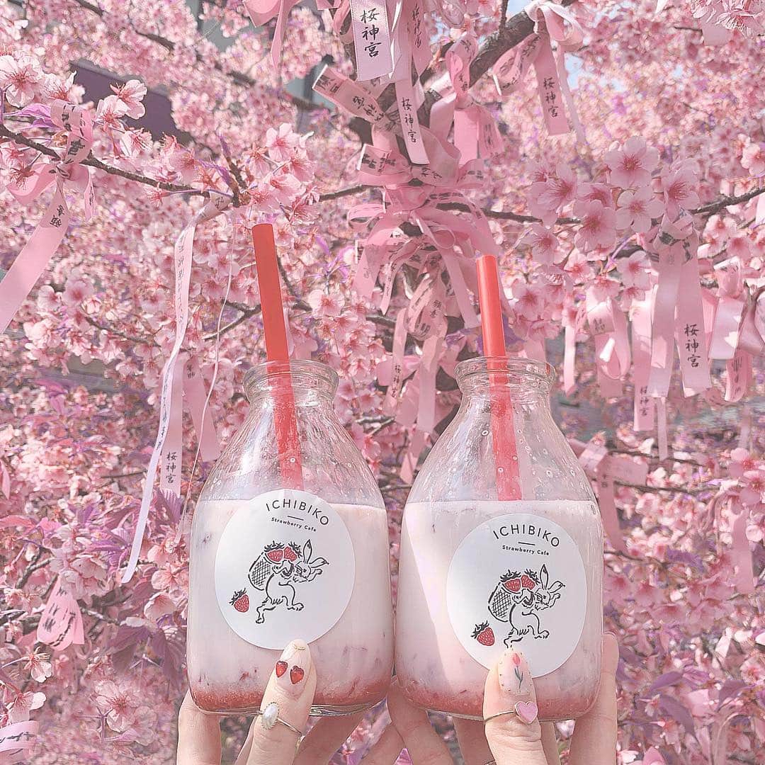 ひこ乃さんのインスタグラム写真 - (ひこ乃Instagram)「🌸⠀ ⠀ いちびこの新店舗が出来てた♡ 三茶より桜新町店は広くて空いてたから狙い目𓆸 この牛乳瓶に入ってるいちごミルク美味しくて 本当に大好き🥺🥛 いちごの果肉感がツボ🍓 この瓶はもらえるよ♡⠀ ⠀ #いちびこ#桜新町#도쿄여행#도쿄카페」3月24日 12時16分 - hikono0909