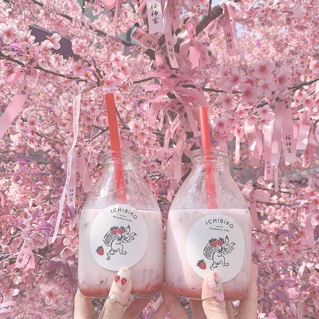 のインスタグラム：「🌸⠀ ⠀ いちびこの新店舗が出来てた♡ 三茶より桜新町店は広くて空いてたから狙い目𓆸 この牛乳瓶に入ってるいちごミルク美味しくて 本当に大好き🥺🥛 いちごの果肉感がツボ🍓 この瓶はもらえるよ♡⠀ ⠀ #いちびこ#桜新町#도쿄여행#도쿄카페」