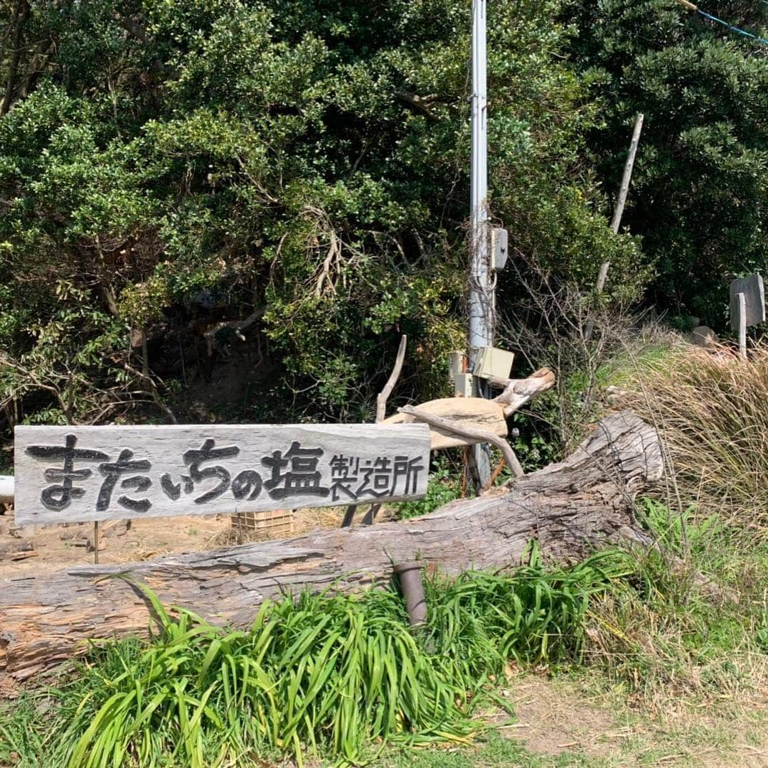 田中マヤさんのインスタグラム写真 - (田中マヤInstagram)「またいちの塩製造所！ ここもまた、絶景スポット✨ ・ ここで食べる ◾️花塩プリン 美味しかった〜🍮 ・ 海水を汲み上げて、 釜で煮て作る自然海塩 ◾️またいちの塩 もお土産に😌✨ ・ #糸島 #またいちの塩製塩所 #またいちの塩 #花塩プリン #絶景 #福岡 #fukuoka #japan #itoshima #instagood #instadaily #instabeauty #beauty #niceview #fun #셀스타그램 #셀피 #셀카 #일상 #데일리 #뷰티 #여행 #일본 #이토시마 #여행스타그램 #후쿠오카 #푸딩」3月24日 12時23分 - tanakamaya__official