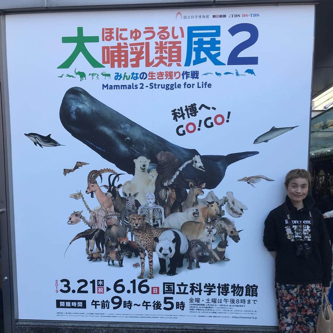 魔女菅原さんのインスタグラム写真 - (魔女菅原Instagram)「大哺乳類展2に行ってきました😆 息子のリクエストなんですが、楽しかったあ！  #大哺乳類展2 #東京国立科学博物館  #魔女菅原」3月24日 12時48分 - hatsuyosugawara