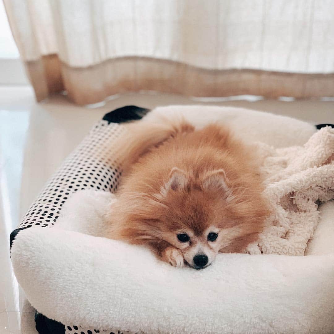 r_oseのインスタグラム：「Sunday🦁〰️」