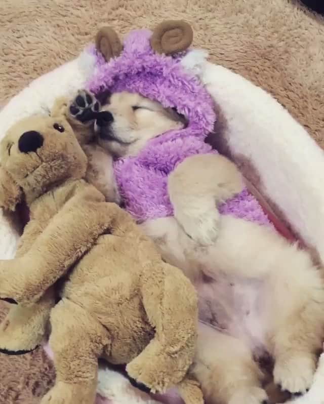 まゆみのインスタグラム