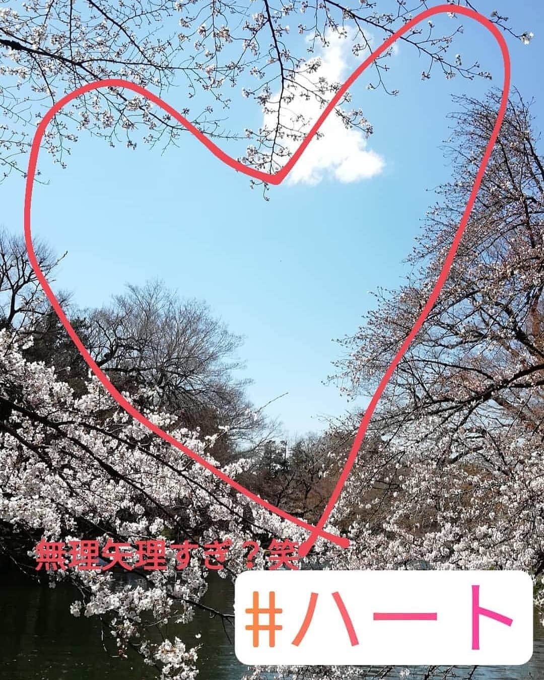 千種ゆり子さんのインスタグラム写真 - (千種ゆり子Instagram)「【3/24千種ゆり子の空てんき】 今日も桜を見に行ってました。東京都武蔵野市の井の頭公園です。 . 空にハート見っけ♥️ちょっと無理矢理？笑 . #桜 #サクラ #さくら #気象キャスター #気象予報士 #井の頭公園 #ハート #cherryblossom」3月24日 13時29分 - chikusa_yuriko