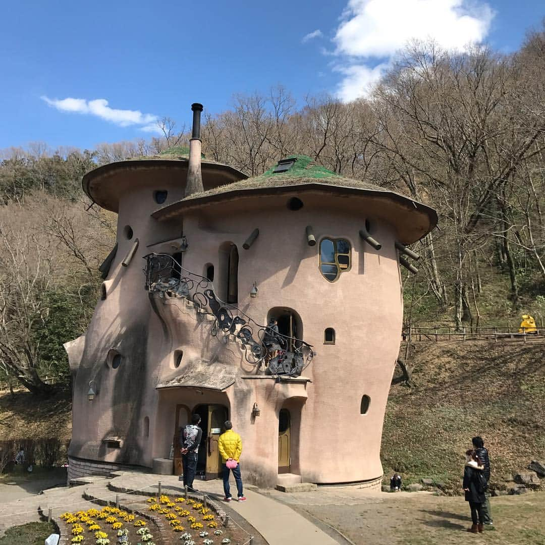 立川只四楼さんのインスタグラム写真 - (立川只四楼Instagram)「ムーミン谷ナウ」3月24日 13時52分 - tadashirou