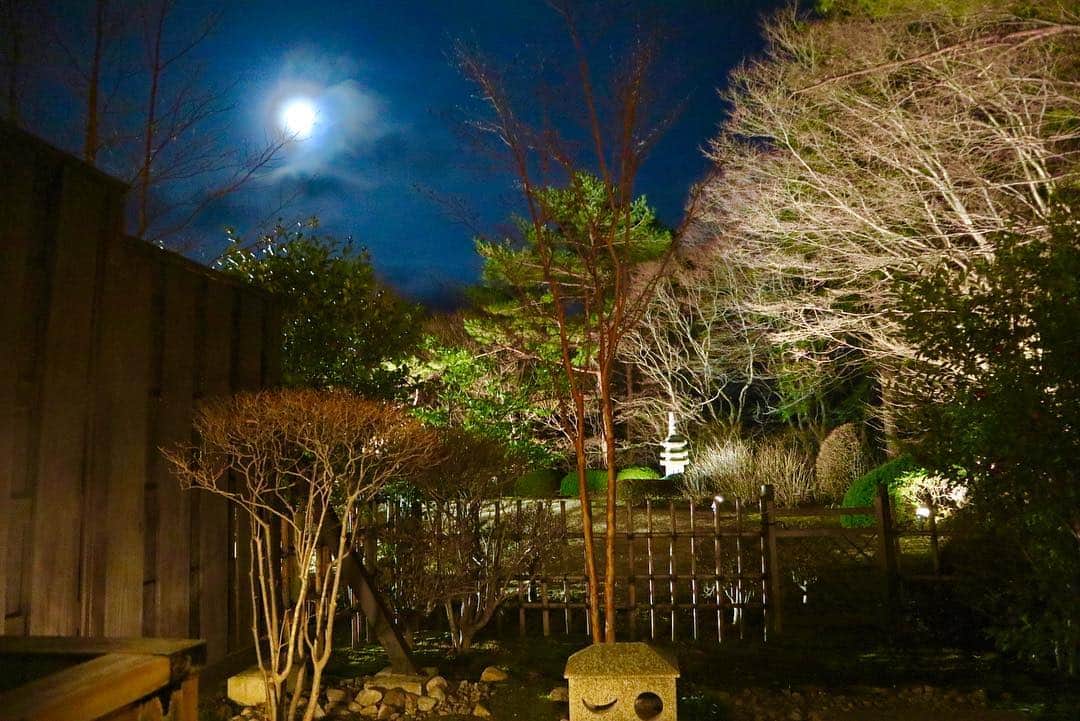 市橋麗里シェーンさんのインスタグラム写真 - (市橋麗里シェーンInstagram)「那須旅行♨️ #那須#那須温泉#那須温泉山楽 #ステンドグラス美術館#那須どうぶつ王国#旅行」3月24日 13時53分 - shli1102