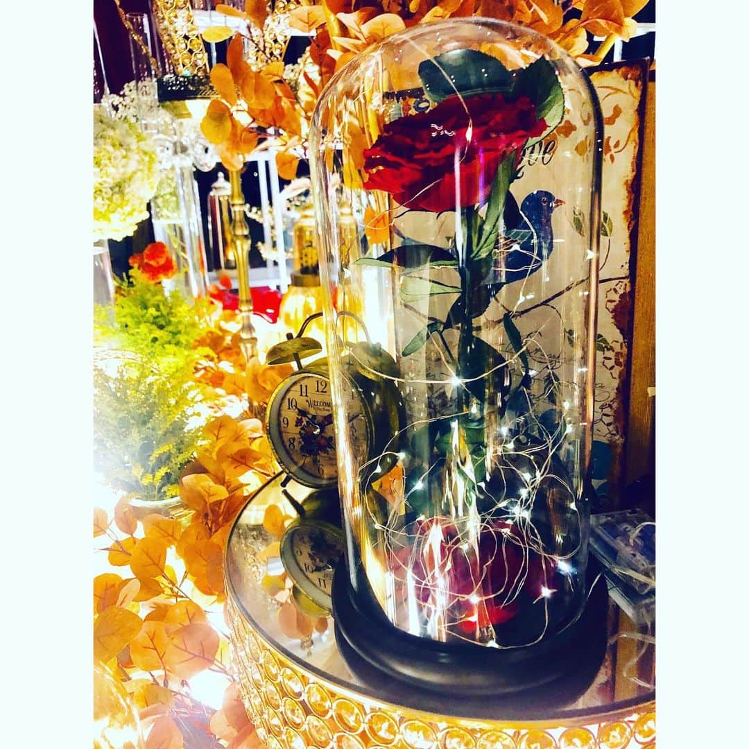ロナ・アングラエニのインスタグラム：「Love me before the last petal falls..🥀」