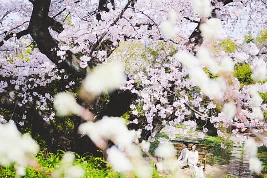 ラクラリエールのグルメインスタ