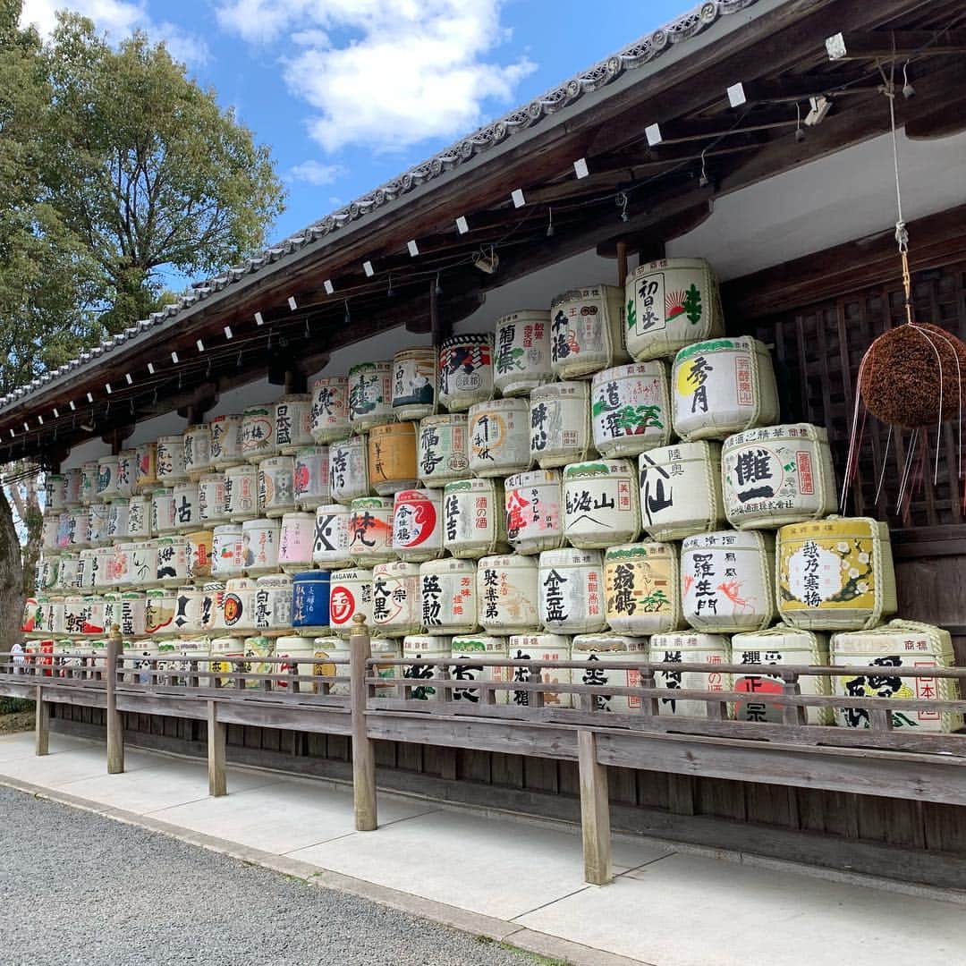 のインスタグラム：「今年も参拝させていただきました！ 松尾大社🍶」