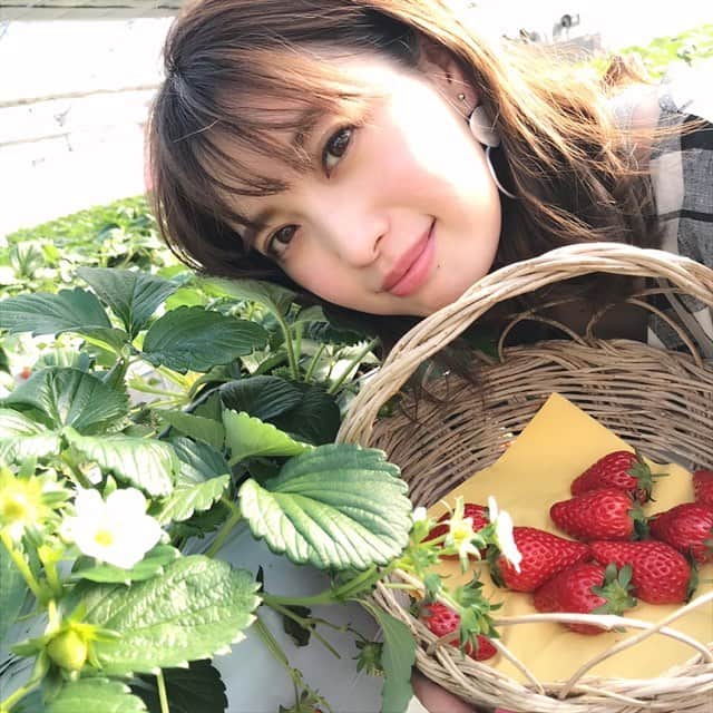 andGIRLのインスタグラム