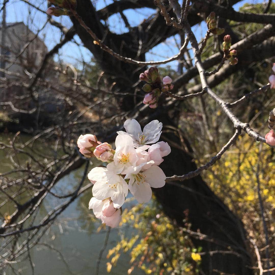荻原和歌のインスタグラム
