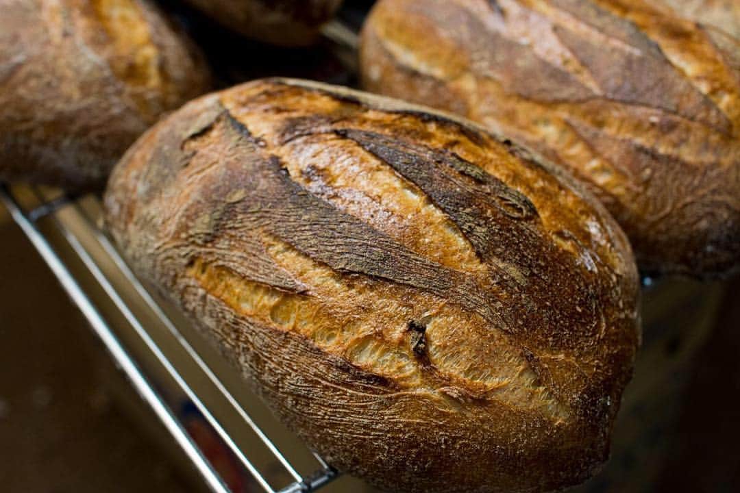 笹塚駅のパン屋さん オパンのグルメインスタ