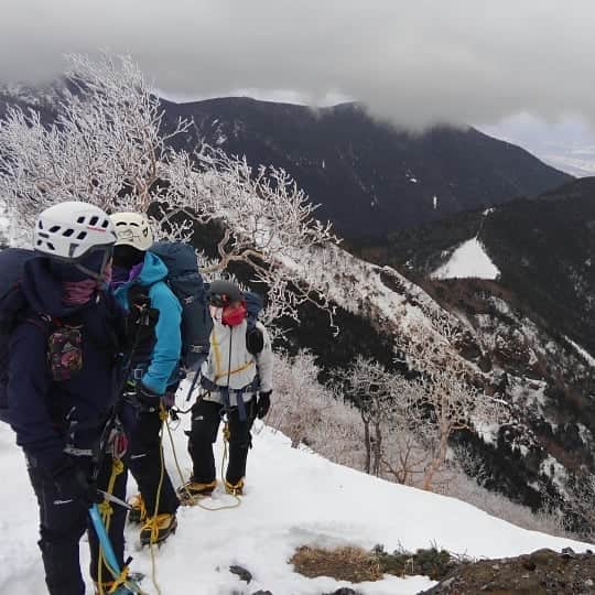 ＩＣＩ石井スポーツエベレスト＆ローツェ登山隊さんのインスタグラム写真 - (ＩＣＩ石井スポーツエベレスト＆ローツェ登山隊Instagram)「#八ヶ岳#阿弥陀岳 #阿弥陀南稜#冬山#登山#八ヶ岳山荘#P3#ガリー#石井スポーツ#登山学校#登山好きな人と繋がりたい #カモシカ#美濃戸山荘#南沢#バリエーションルート#奥田ガイド#Mt.石井スポーツ#野生動物#スマートウォッチ#GPS #WSDF30#カシオ#プロトレック#Japanese mountain  #serow #mountaineering」3月24日 16時51分 - ishii_ishiisports