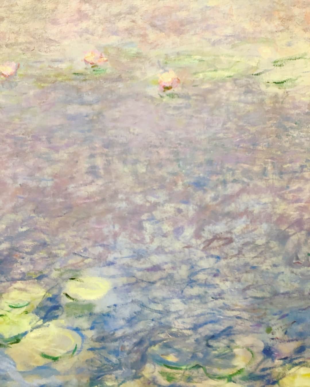 新倉瞳さんのインスタグラム写真 - (新倉瞳Instagram)「Monet - Les Nymphéas  オランジュリー美術館は、大好きな美術館の一つ。  8つのモネの睡蓮は、訪れるたびにその色彩を変えて心に訴えかけてくるよう。  ここに自ら腰をおろして自身の晩年の大作を眺められなかったモネは、苦しかったのかな、幸せだったのかな。  今回はなんだか幸せな色のほうが心に残ったなぁ。  #monet #lesnymphéas #mussedelorangerie #モネ #睡蓮」3月24日 17時13分 - hitominiikura