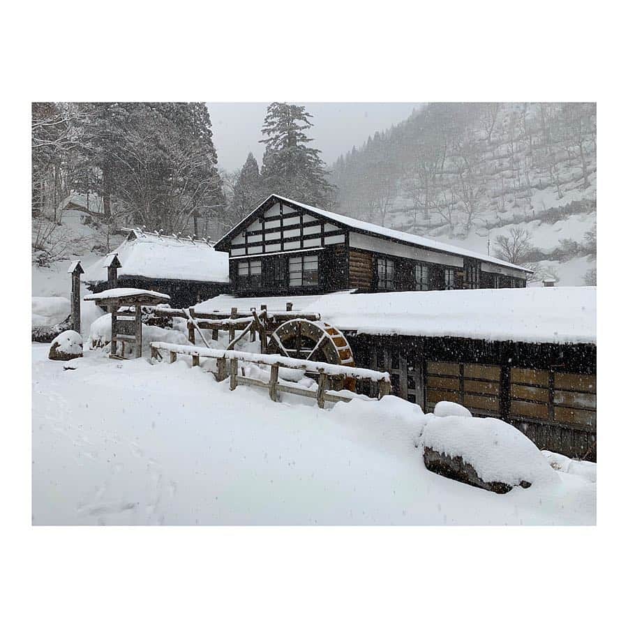 古川美有さんのインスタグラム写真 - (古川美有Instagram)「囲炉裏のある部屋。 なかなか予約が取れず、予定してた時期を半年近くオーバー笑  でも雪がしんしん降る時期こそ趣があって素敵かも。 #鶴の湯温泉 #乳頭温泉郷 #秋田 #週末旅 #旅館 #温泉 #雪 #囲炉裏 #weekendtrip #hotsprings #snow」3月24日 17時24分 - miyukogawa