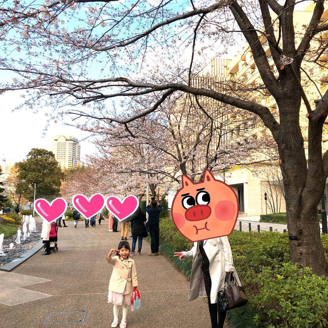 みきママさんのインスタグラム写真 - (みきママInstagram)「花より噴水です〜‼️. 六本木の桜は4分咲きくらいです🤩🤩🤩. 結婚式、ボロ泣きでした〜😭😭😭」3月24日 17時45分 - mikimama_official