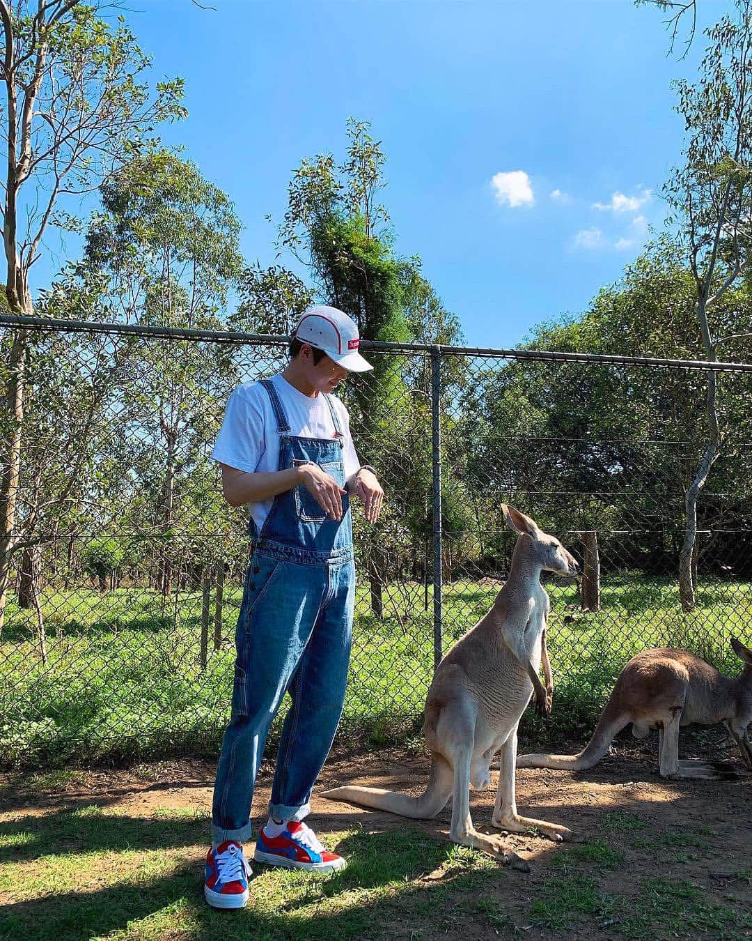 スホさんのインスタグラム写真 - (スホInstagram)「🦘캥거룩🦘」3月24日 17時46分 - kimjuncotton