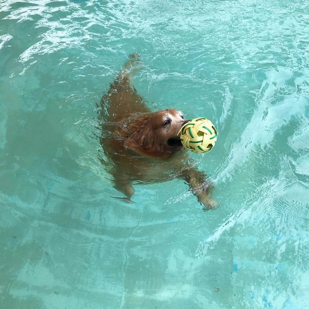 Hoykong&Plamuekのインスタグラム：「Good thing to do on a hot day 🔥 ☀️💦💦 #hoykong」