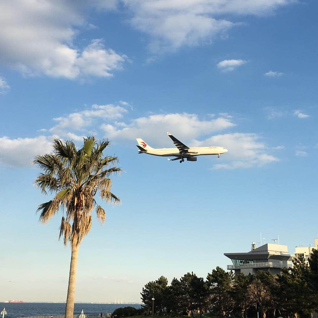 中倉隆道さんのインスタグラム写真 - (中倉隆道Instagram)「. 羽田空港へ着陸🛬 . ずっと見てられる😊✨ . . 空がキレイだー♬ . . #城南島海浜公園 #飛行機好き #飛行機 #着陸 #フリーアナウンサー #柿ピー研究家 #中倉隆道」3月24日 17時54分 - ryudo.tokyo