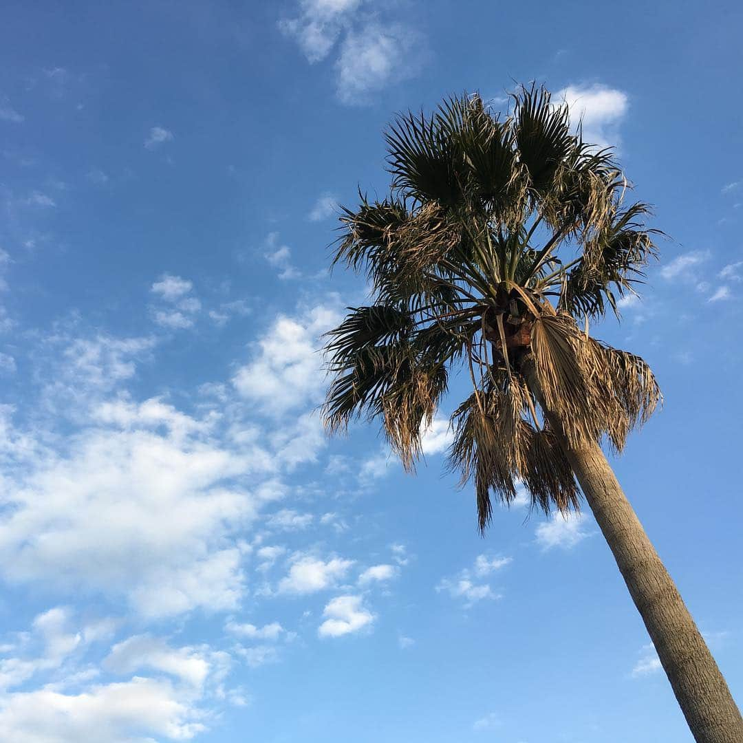 中倉隆道さんのインスタグラム写真 - (中倉隆道Instagram)「. 羽田空港へ着陸🛬 . ずっと見てられる😊✨ . . 空がキレイだー♬ . . #城南島海浜公園 #飛行機好き #飛行機 #着陸 #フリーアナウンサー #柿ピー研究家 #中倉隆道」3月24日 17時54分 - ryudo.tokyo