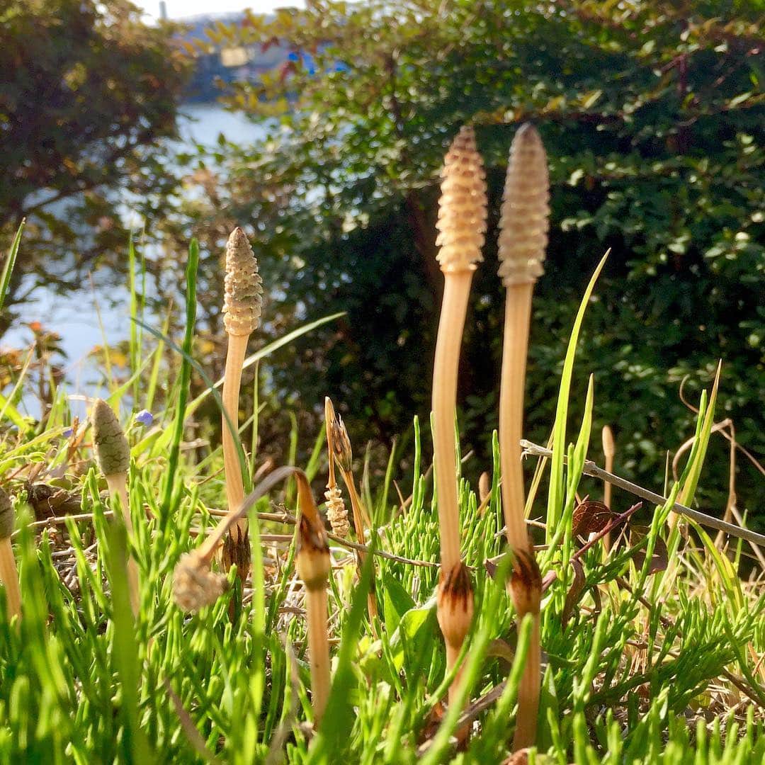 【公式】ボートレース戸田のグルメインスタ