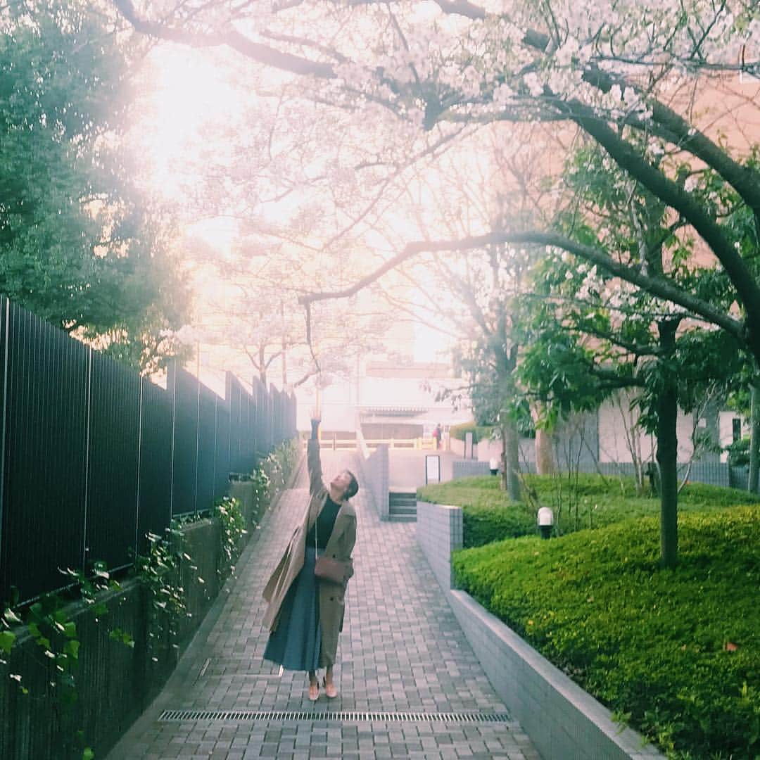 菅原沙樹さんのインスタグラム写真 - (菅原沙樹Instagram)「春に触れたい🌸」3月24日 18時13分 - saki313apo
