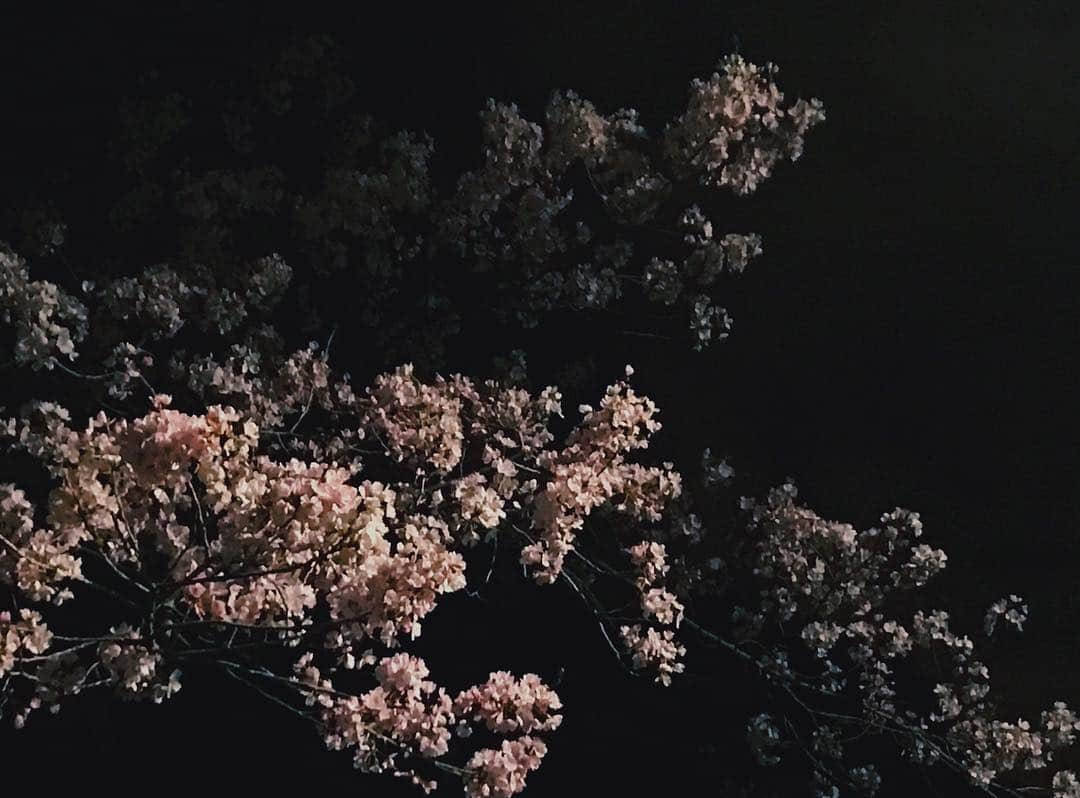 大澤実音穂さんのインスタグラム写真 - (大澤実音穂Instagram)「🌸⚫️」3月24日 18時41分 - ______mineho