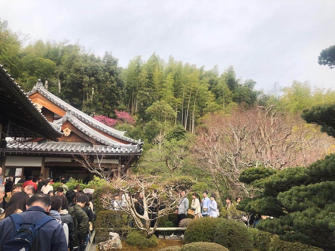 ステファニーさんのインスタグラム写真 - (ステファニーInstagram)「🌞🇯🇵🏯❤️ 京都２日目はたくさんのお寺や神社へ。 心を清め、心を綺麗に。 たくさんエネルギーをもらってきました！ 試合も勝ててよかった！ #love #trip #travel #japan #kyoto #goodtimes #fashion #style #outfit #京都」3月24日 18時46分 - steph_0928_