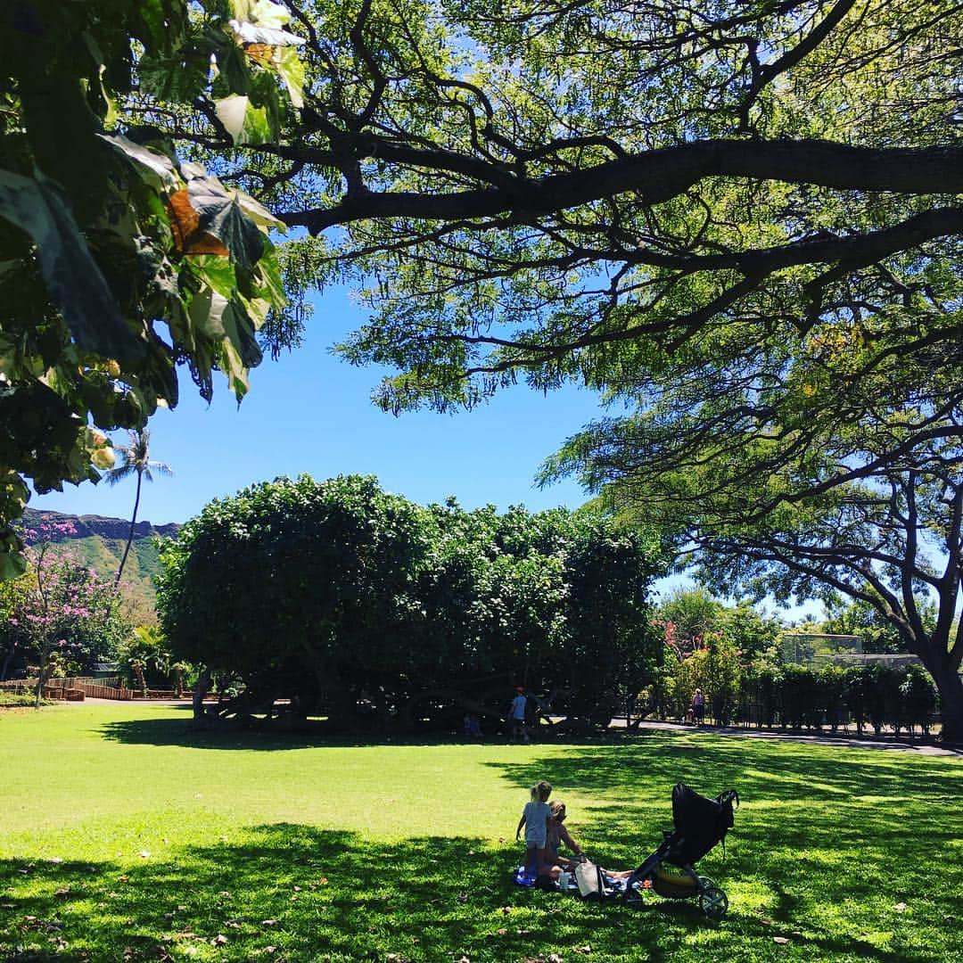 工藤まやさんのインスタグラム写真 - (工藤まやInstagram)「春休みで家族連れがいっぱい。それでもゆるゆるペースで楽しめるのがハワイ。最高の木陰を探してホノルル動物園へ。#hawaii#honoluluzoo#picnic」3月24日 19時05分 - mayahawaii325