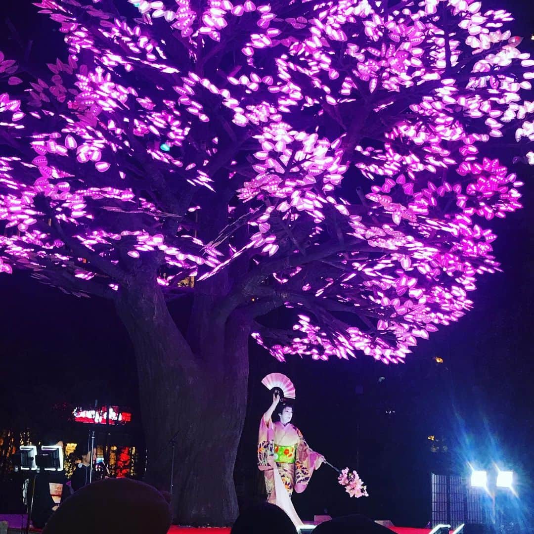齊藤美絵さんのインスタグラム写真 - (齊藤美絵Instagram)「なんとまぁ雅な🌸✨ #コレド室町 #福徳の森 #🌸 #桜 #Sakura #nihonbashi #mitsukosimae  #ツタエルヒト。」3月24日 19時18分 - saitomie